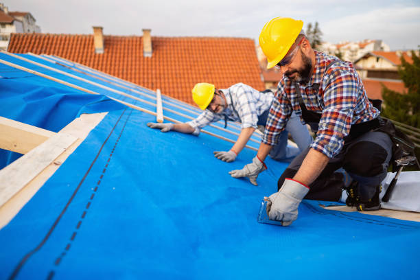 Best Metal Roofing Contractor  in Archer City, TX